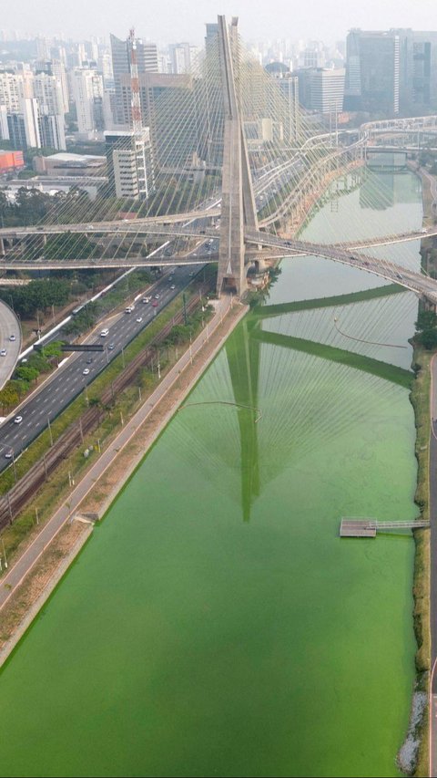 FOTO: Heboh Sungai Utama di Sao Paulo Brasil Tiba-Tiba Menghijau, Ternyata Ini Penyebabnya