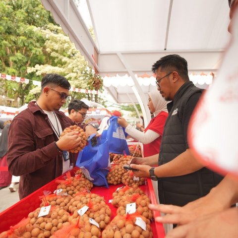 Pemberdayaan BRI Bikin Klaster Kelengkeng di Tuban Makin Bersinar