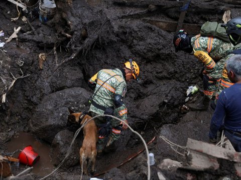 FOTO: Tragis! Longsor Kubur Delapan Rumah di Meksiko, Satu Anak Tewas, Beberapa Lainnya Hilang