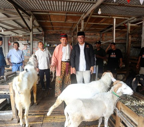 FOTO: Bakal Calon Gubernur Jakarta Ridwan Kamil Serap Aspirasi Pedagang Pasar Kambing di Tanah Abang