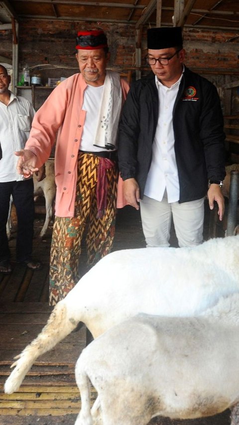 FOTO: Bakal Calon Gubernur Jakarta Ridwan Kamil Serap Aspirasi Pedagang Pasar Kambing di Tanah Abang