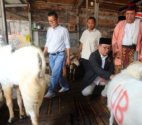 Bakal calon Gubernur DKI Jakarta, Ridwan Kamil, menemui Himpunan Pedagang Kambing Tanah Abang dan sejumlah tokoh masyarakat setempat di Pasar Kambing, Tanah Abang, Jakarta Pusat, Minggu (15/9/2024). Foto: merdeka.com / Arie Basuki