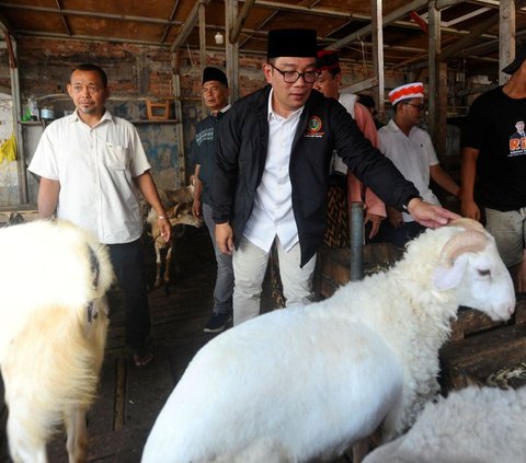 FOTO: Bakal Calon Gubernur Jakarta Ridwan Kamil Serap Aspirasi Pedagang Pasar Kambing di Tanah Abang