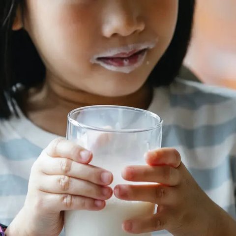 Pakar Gizi Anggap Tambahan Pemanis pada Susu Ikan Masih Boleh Asal Dalam Jumlah Tak Berlebihan