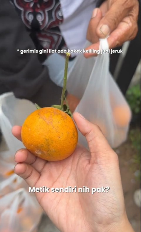 Niat Ingin Lariskan Justru Dikasih Lebih, Momen Wanita Beli Jeruk Dagangan Milik Bapak Ini Curi Perhatian
