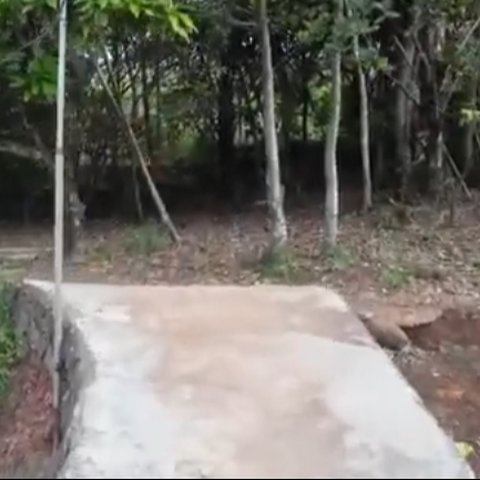 Perjalanan Menuju Rumah Sofia