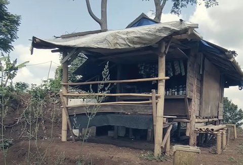 Sedih, Kisah Sosok Wanita Buka Warung di Tengah Hutan 24 Jam