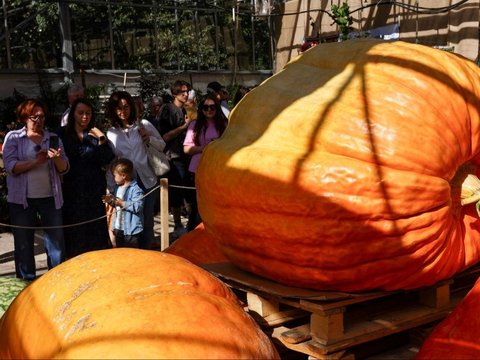 FOTO: Pameran Sayuran Raksasa di Rusia, Labu Parang Seberat 817 Kg Ini Cetak Rekor