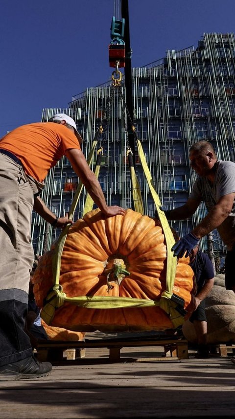 FOTO: Pameran Sayuran Raksasa di Rusia, Labu Parang Seberat 817 Kg Ini Cetak Rekor