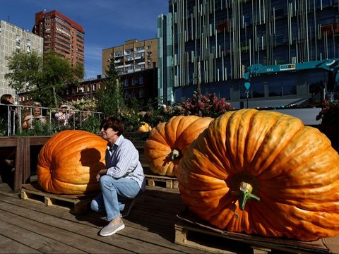 FOTO: Pameran Sayuran Raksasa di Rusia, Labu Parang Seberat 817 Kg Ini Cetak Rekor