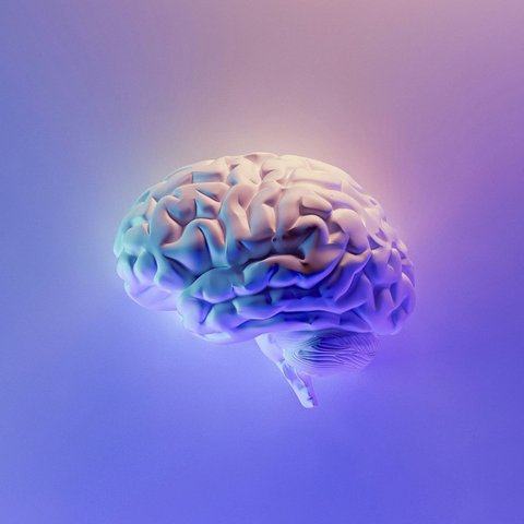 Ilmuwan Temukan Alasan Manusia Simpan Ingatan yang Menjijikan