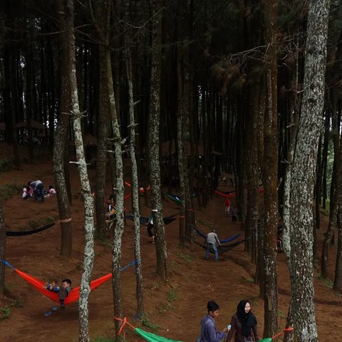 Area camping favorit di Gunung Burangrang Purwakarta
