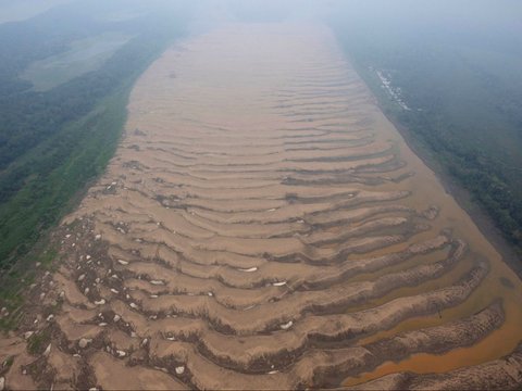 FOTO: Penampakan Air 'Menghilang' dari Anak Sungai Amazon Kala Kekeringan Parah Melanda