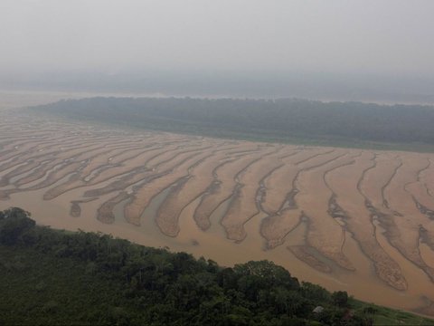 FOTO: Penampakan Air 'Menghilang' dari Anak Sungai Amazon Kala Kekeringan Parah Melanda