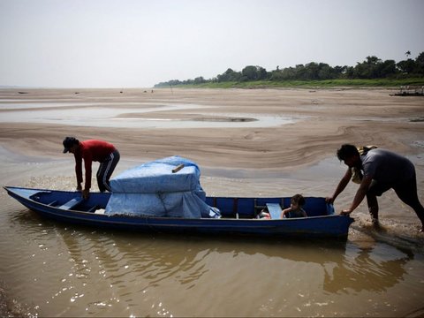 FOTO: Penampakan Air 'Menghilang' dari Anak Sungai Amazon Kala Kekeringan Parah Melanda