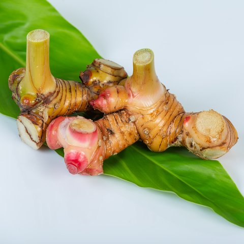 Lengkuas