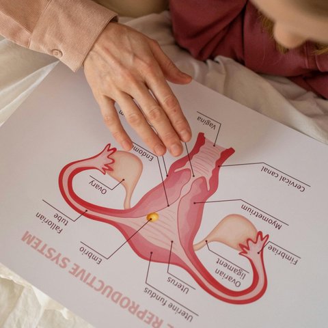 radang vagina