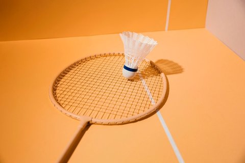 Ilustrasi bulu tangkis