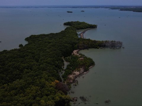 FOTO: Jejak Kehidupan di Pantai Muara Beting yang Tergerus Abrasi