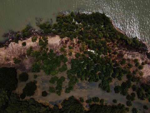 FOTO: Jejak Kehidupan di Pantai Muara Beting yang Tergerus Abrasi