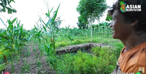 Pasangan Muda Transmigrasi Asal Jogja  Optimis Sukses Jadi Petani