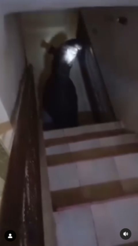 Tapir Raksasa Pernah Viral Masuk Lantai 2 Rumah Warga