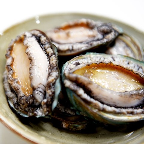 kerang abalon