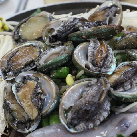 kerang abalon