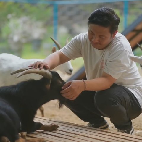 Pria Ini Resign dari PNS dan Pilih Ternak Kambing, Kini Punya Ratusan Kambing Seharga Rp10 Juta per Ekor