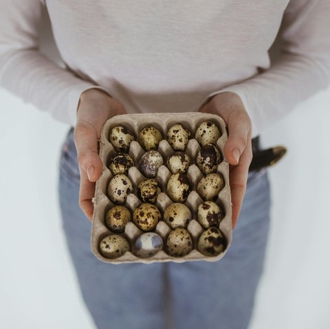 Manfaat Telur Puyuh untuk Kesehatan