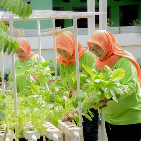 Dukung Pemberdayaan Wanita & Keseimbangan Lingkungan, BRI Raih Penghargaan Merdeka Award 2024