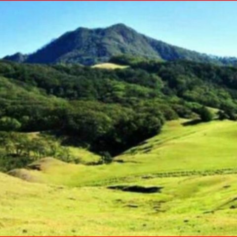 Taman Nasional Mutis Timau