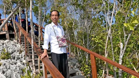 Mengingat Kembali Jejak Jokowi di Puncak Raja Ampat