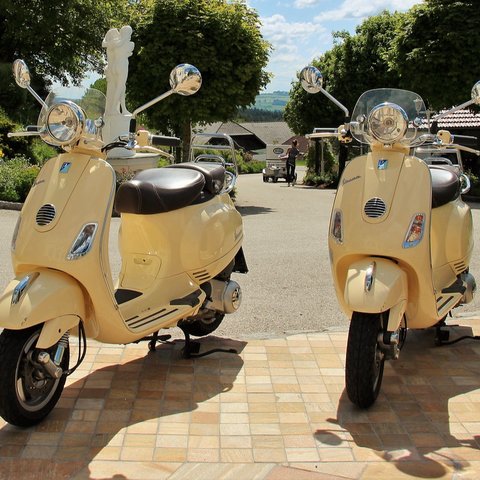motor