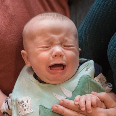 bayi