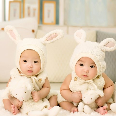 fakta anak kembar