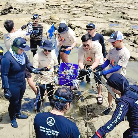 PNM Peduli Tanam Ribuan Pohon Mangrove dan Terumbu Karang di Kalimantan