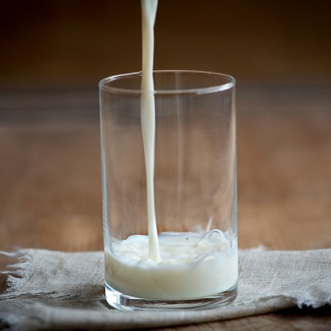 oat milk