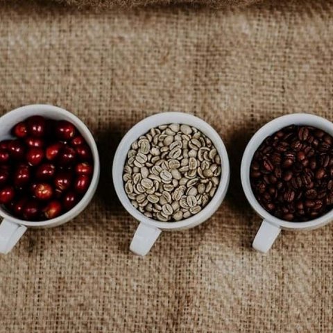 Hari Kopi Sedunia