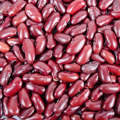 kacang merah