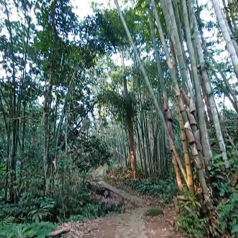 Suasana pagi di Kampung Baduy