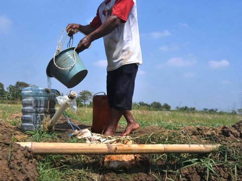 Petani mengambil air dari kubangan sumur yang digali sedalam dua meter untuk menyiram kebun semangka di Kawasan Muara Bakti, Kecamatan Babelan, Kabupaten Bekasi, Jawa Barat Rabu (4/9/2024).
