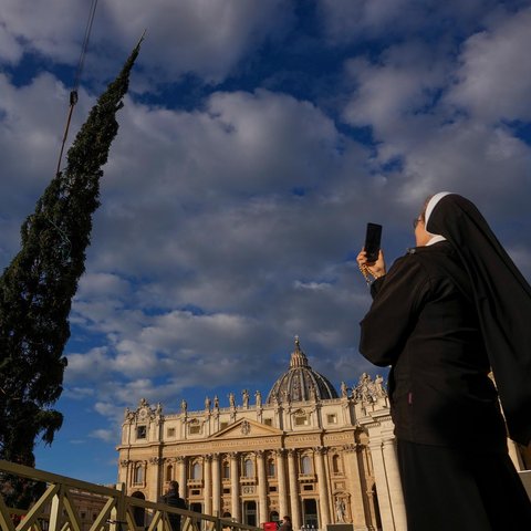Pohon cemara raksasa ini merupakan sumbangan dari kota Macra di wilayah utara Italia, Piedmont. (AP Photo/Andrew Medichini)