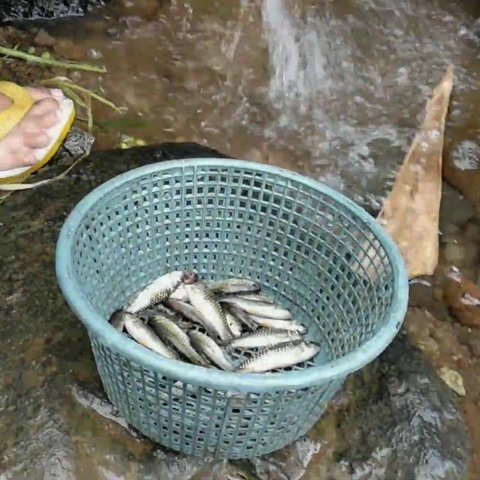 Kearifan lokal Sunda memancing di sungai