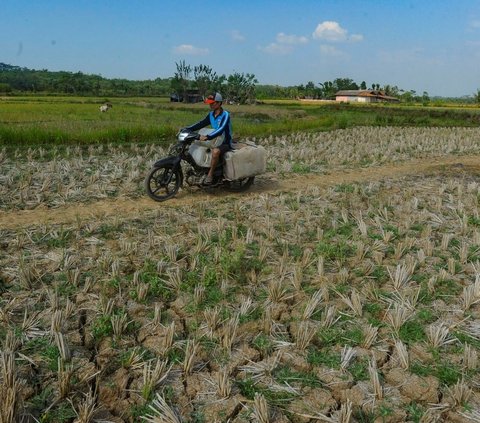 FOTO: Krisis Air Bersih Landa Jonggol, Ratusan Kepala Keluarga Mengandalkan Kali Cihoe yang Keruh dan Hampir Kering untuk Konsumsi