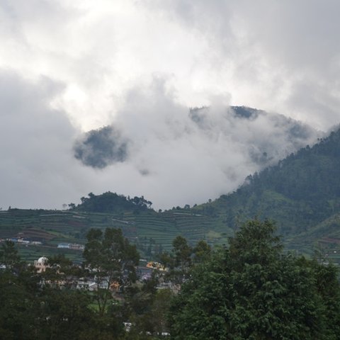 Dataran Tinggi Dieng, Jawa Tengah. (Liputan6.com/Muhamad Ridlo)