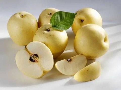 Temuan baru, buah pir bisa melindungi usus dari infeksi bakteri