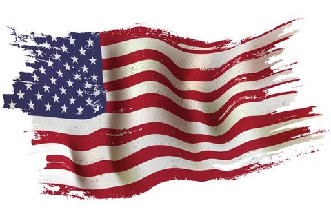 Departemen Efisiensi Pemerintah merupakan lembaga yang baru dibentuk di dalam kabinet pemerintahan Amerika Serikat di bawah kepemimpinan Donald Trump pada periode 2025-2029 mendatang. (Kena B