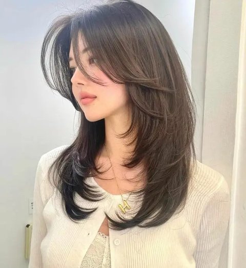 potongan rambut korea, korean style, haircut, model, gaya, hairstyle (credit: pinterest/Project Hairstyles, url: projecthairstyles.com)