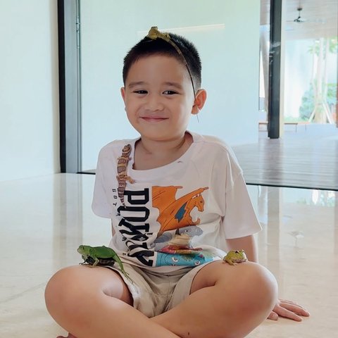 Kumpulan Hewan Peliharaan Athar Anak Citra Kirana dan Rezky Aditya, Ada Katak sampai Iguana